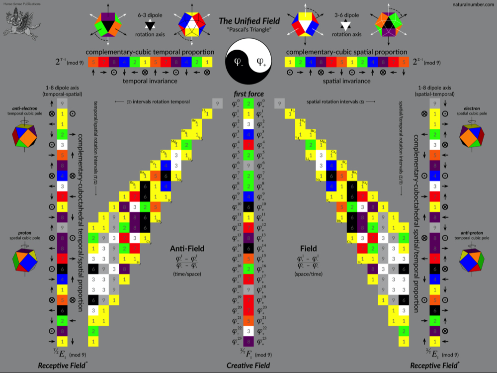 The Unified Field Pascal